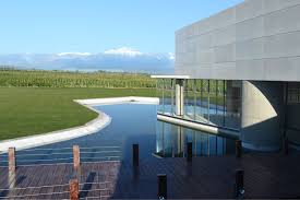 Bodega Don Manuel Villafañe